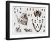 Dental Anatomy-Mehau Kulyk-Framed Photographic Print