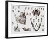 Dental Anatomy-Mehau Kulyk-Framed Photographic Print