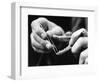 Dental Checkup for Baby Crocodile-null-Framed Photographic Print