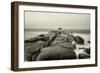 Dentata-Geoffrey Ansel Agrons-Framed Photographic Print