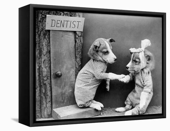 Dentist Dog-null-Framed Stretched Canvas