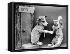 Dentist Dog-null-Framed Stretched Canvas