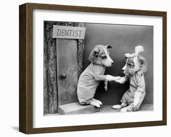 Dentist Dog-null-Framed Photographic Print