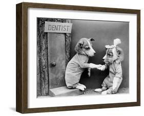 Dentist Dog-null-Framed Photographic Print