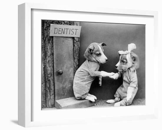 Dentist Dog-null-Framed Photographic Print