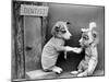Dentist Dog-null-Mounted Photographic Print