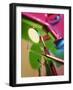 Dentistry Equipment-Tek Image-Framed Photographic Print