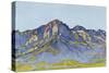 Dents Blanches Near Champéry in the Morning Sun, 1916-Ferdinand Hodler-Stretched Canvas