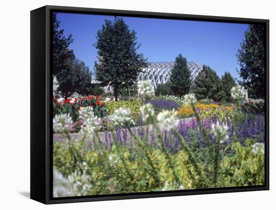 Denver Botanic Gardens, Denver, CO-Sherwood Hoffman-Framed Stretched Canvas