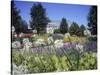 Denver Botanic Gardens, Denver, CO-Sherwood Hoffman-Stretched Canvas