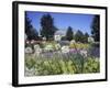 Denver Botanic Gardens, Denver, CO-Sherwood Hoffman-Framed Photographic Print