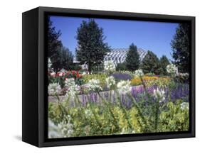 Denver Botanic Gardens, Denver, CO-Sherwood Hoffman-Framed Stretched Canvas