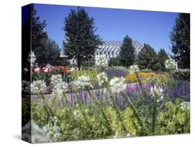 Denver Botanic Gardens, Denver, CO-Sherwood Hoffman-Stretched Canvas