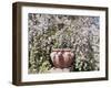 Denver Botanical Gardens, Denver, Colorado, USA-Trish Drury-Framed Premium Photographic Print