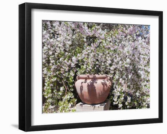 Denver Botanical Gardens, Denver, Colorado, USA-Trish Drury-Framed Premium Photographic Print