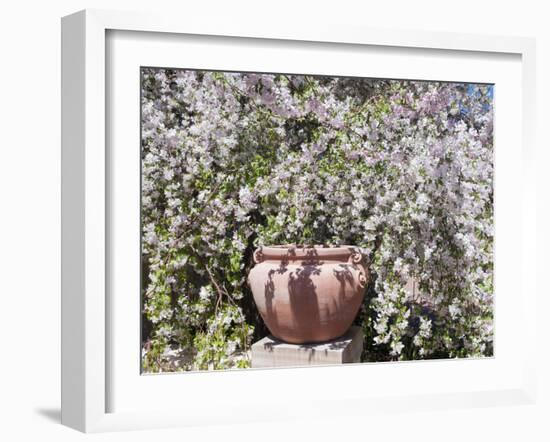 Denver Botanical Gardens, Denver, Colorado, USA-Trish Drury-Framed Premium Photographic Print