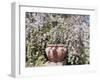 Denver Botanical Gardens, Denver, Colorado, USA-Trish Drury-Framed Premium Photographic Print