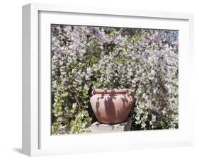 Denver Botanical Gardens, Denver, Colorado, USA-Trish Drury-Framed Premium Photographic Print