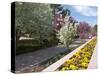 Denver Botanical Gardens, Denver, Colorado, USA-Trish Drury-Stretched Canvas