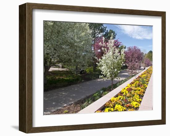 Denver Botanical Gardens, Denver, Colorado, USA-Trish Drury-Framed Premium Photographic Print
