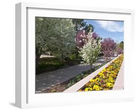 Denver Botanical Gardens, Denver, Colorado, USA-Trish Drury-Framed Premium Photographic Print