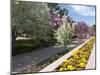 Denver Botanical Gardens, Denver, Colorado, USA-Trish Drury-Mounted Premium Photographic Print