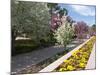 Denver Botanical Gardens, Denver, Colorado, USA-Trish Drury-Mounted Photographic Print