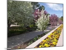 Denver Botanical Gardens, Denver, Colorado, USA-Trish Drury-Mounted Photographic Print