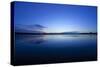 Denver, Colorado: a Bird Flies Lows over the Water During Sunrise-Brad Beck-Stretched Canvas