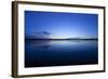 Denver, Colorado: a Bird Flies Lows over the Water During Sunrise-Brad Beck-Framed Photographic Print