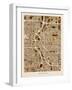 Denver Colorado City Street Map-Michael Tompsett-Framed Art Print