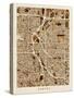 Denver Colorado City Street Map-Michael Tompsett-Stretched Canvas