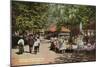 Denver, Colorado, View of Crowds at Elitch's Garden-Lantern Press-Mounted Art Print