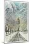 Denver, Colorado, View of the State Capitol in Winter from Snowy Sherman Street-Lantern Press-Mounted Art Print