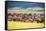 Denver Metro Residential Area-duallogic-Framed Stretched Canvas