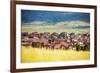 Denver Metro Residential Area-duallogic-Framed Photographic Print