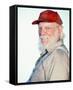 Denver Pyle - The Dukes of Hazzard-null-Framed Stretched Canvas