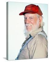 Denver Pyle - The Dukes of Hazzard-null-Stretched Canvas