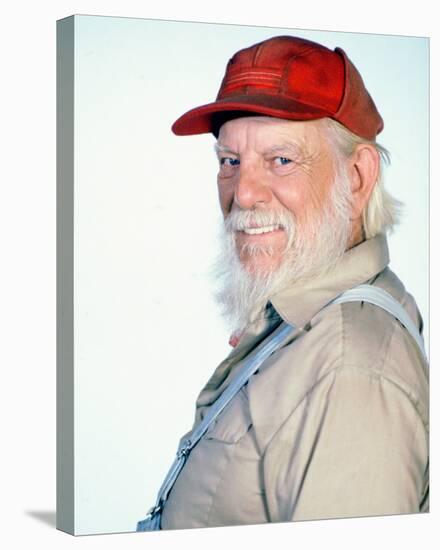 Denver Pyle - The Dukes of Hazzard-null-Stretched Canvas