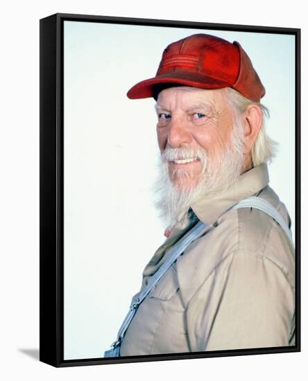 Denver Pyle - The Dukes of Hazzard-null-Framed Stretched Canvas