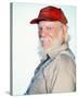 Denver Pyle - The Dukes of Hazzard-null-Stretched Canvas