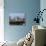 Denver Skyline-Ed Andrieski-Photographic Print displayed on a wall