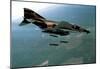 Department of Defense F-4 Phantom II 82 POSTER military-null-Mounted Poster
