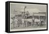 Departure of the Mail at Cue, Murchison District-null-Framed Stretched Canvas