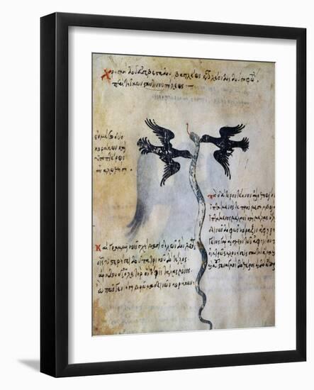 Depiction of Constantinople Between Two Ravens-null-Framed Giclee Print