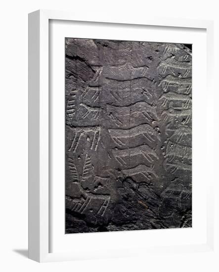 Depiction of Deer, Petroglyphs in Val Camonica-null-Framed Photographic Print
