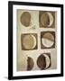 Depiction of the Different Phases of the Moon Viewed from the Earth-Galileo-Framed Art Print