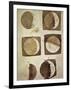 Depiction of the Different Phases of the Moon Viewed from the Earth-Galileo-Framed Art Print