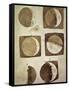 Depiction of the Different Phases of the Moon Viewed from the Earth-Galileo-Framed Stretched Canvas