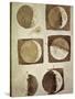 Depiction of the Different Phases of the Moon Viewed from the Earth-Galileo-Stretched Canvas
